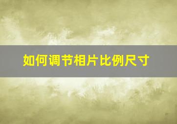 如何调节相片比例尺寸