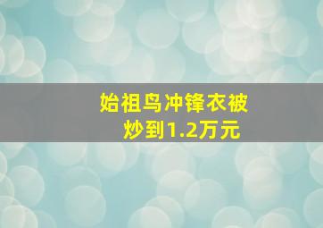 始祖鸟冲锋衣被炒到1.2万元