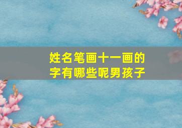 姓名笔画十一画的字有哪些呢男孩子