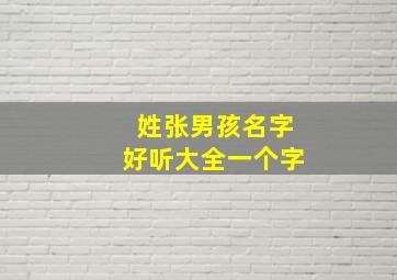 姓张男孩名字好听大全一个字