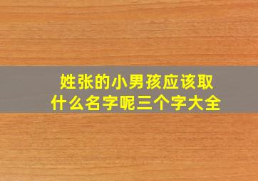 姓张的小男孩应该取什么名字呢三个字大全