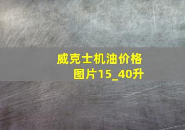 威克士机油价格图片15_40升