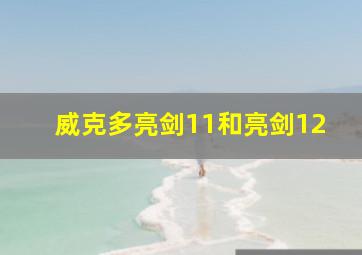 威克多亮剑11和亮剑12