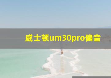 威士顿um30pro偏音