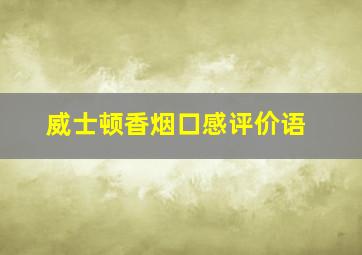 威士顿香烟口感评价语