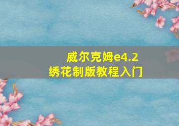 威尔克姆e4.2绣花制版教程入门