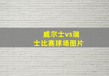 威尔士vs瑞士比赛球场图片