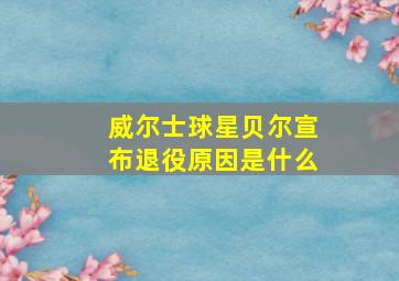 威尔士球星贝尔宣布退役原因是什么