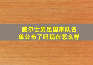 威尔士男足国家队名单公布了吗现在怎么样