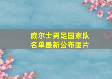 威尔士男足国家队名单最新公布图片