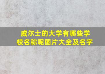 威尔士的大学有哪些学校名称呢图片大全及名字