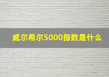 威尔希尔5000指数是什么