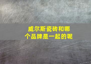 威尔斯瓷砖和哪个品牌是一起的呢