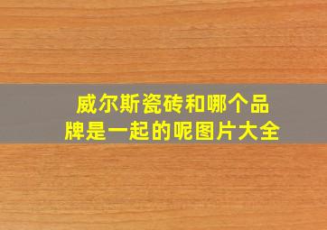 威尔斯瓷砖和哪个品牌是一起的呢图片大全