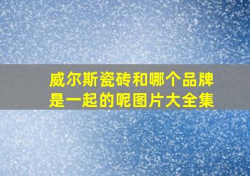 威尔斯瓷砖和哪个品牌是一起的呢图片大全集