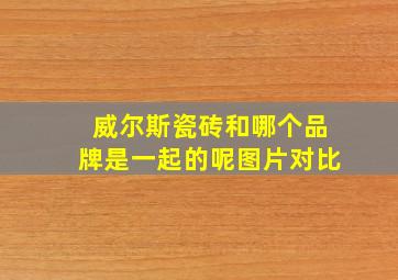 威尔斯瓷砖和哪个品牌是一起的呢图片对比