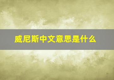 威尼斯中文意思是什么