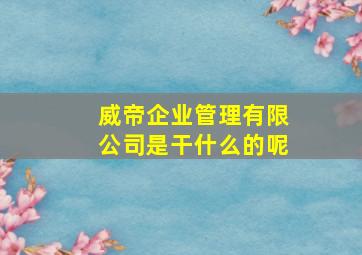 威帝企业管理有限公司是干什么的呢