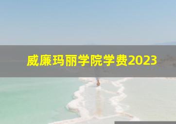 威廉玛丽学院学费2023