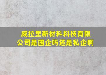 威拉里新材料科技有限公司是国企吗还是私企啊