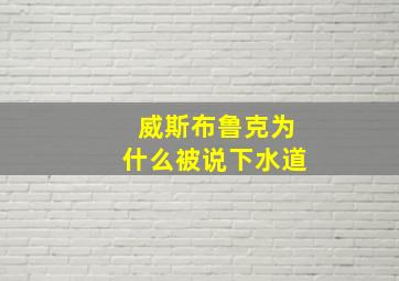 威斯布鲁克为什么被说下水道