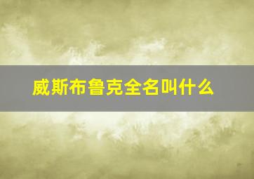 威斯布鲁克全名叫什么