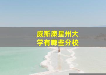 威斯康星州大学有哪些分校