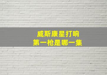 威斯康星打响第一枪是哪一集