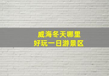 威海冬天哪里好玩一日游景区