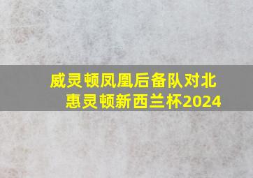 威灵顿凤凰后备队对北惠灵顿新西兰杯2024