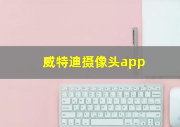 威特迪摄像头app