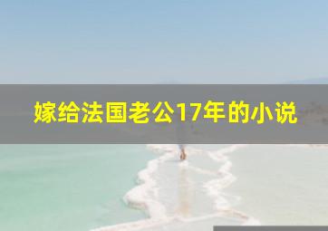 嫁给法国老公17年的小说