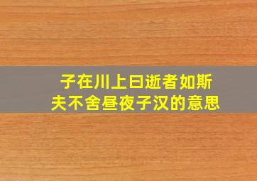 子在川上曰逝者如斯夫不舍昼夜子汉的意思