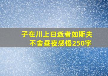 子在川上曰逝者如斯夫不舍昼夜感悟250字