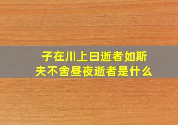 子在川上曰逝者如斯夫不舍昼夜逝者是什么