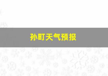 孙町天气预报