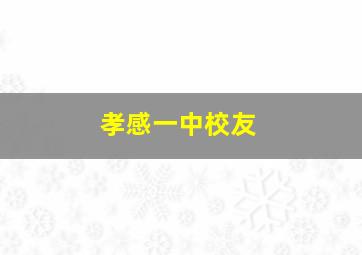 孝感一中校友