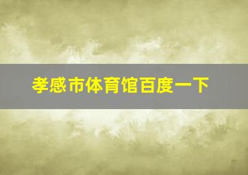 孝感市体育馆百度一下