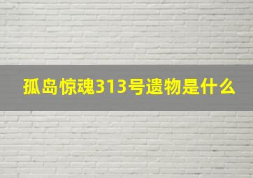 孤岛惊魂313号遗物是什么