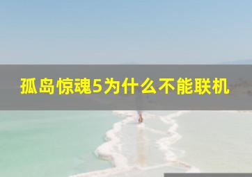 孤岛惊魂5为什么不能联机