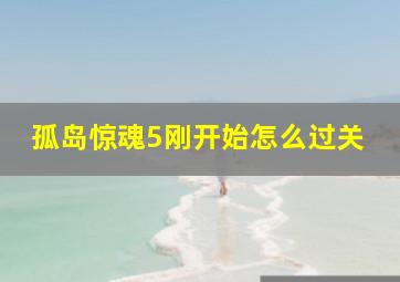 孤岛惊魂5刚开始怎么过关