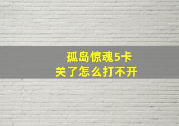 孤岛惊魂5卡关了怎么打不开