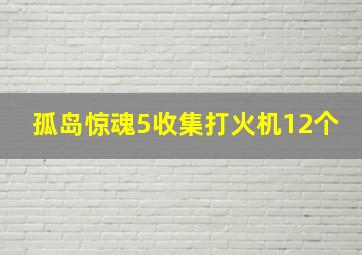 孤岛惊魂5收集打火机12个