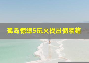 孤岛惊魂5玩火找出储物箱