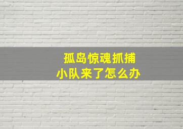 孤岛惊魂抓捕小队来了怎么办