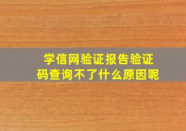 学信网验证报告验证码查询不了什么原因呢