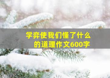 学弈使我们懂了什么的道理作文600字