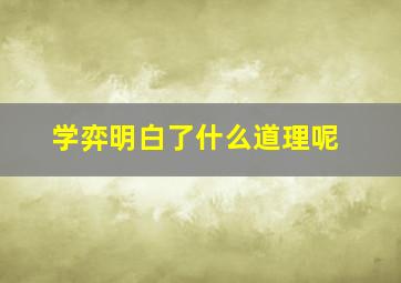 学弈明白了什么道理呢