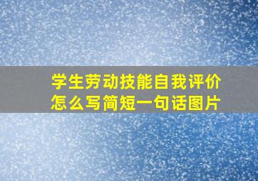 学生劳动技能自我评价怎么写简短一句话图片