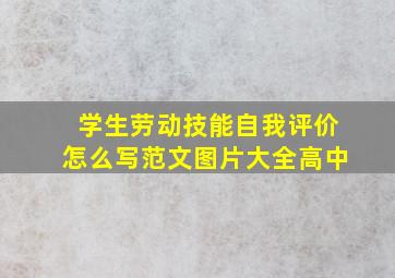 学生劳动技能自我评价怎么写范文图片大全高中